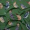 1 Yard Green, Blue and Beige Little Birds Cotton Sateen Stretch Fabric